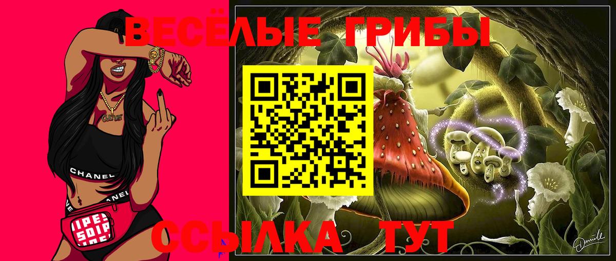 Псилоцибиновые грибы ЛСД  Псилоцибиновые грибы Cubensis  Дубна  Вход с VPN 